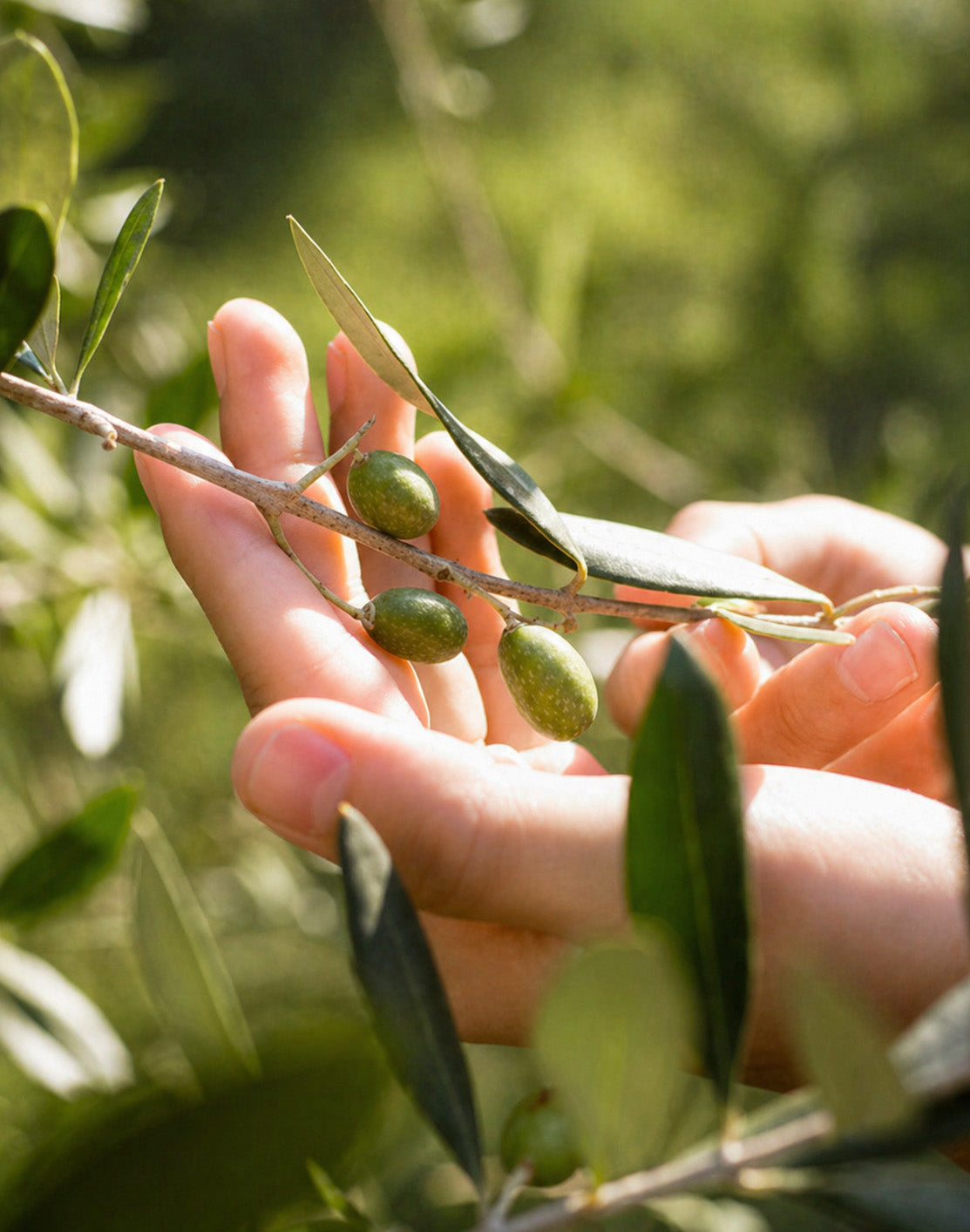 Productos de cosmética natural URANG para cuidado de la piel