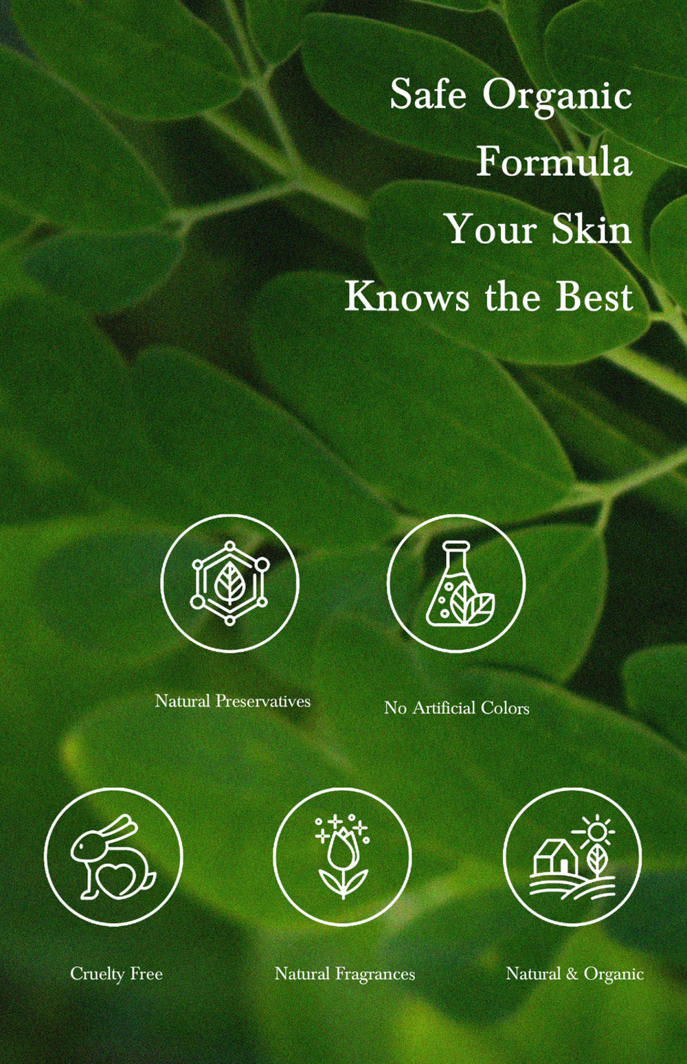 Rutina botánica de skincare con productos URANG