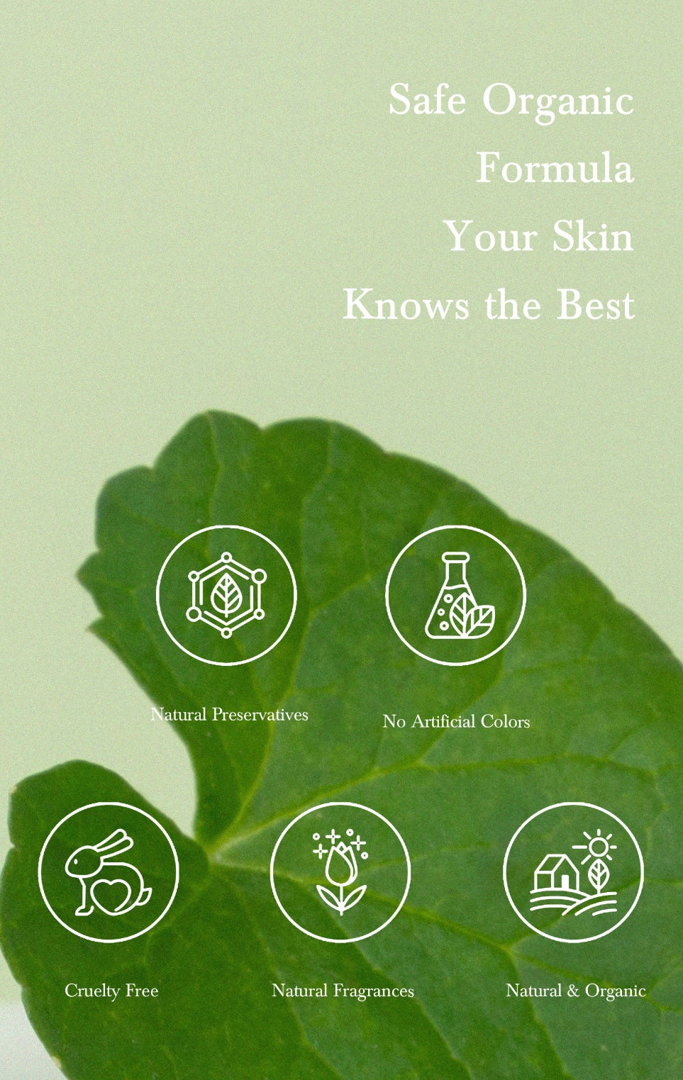 Productos botánicos premium URANG para skincare natural
